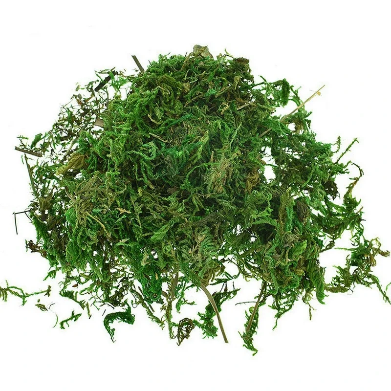Sphagnum Moss Dry - 800G Dry Real Green Moss Decorative