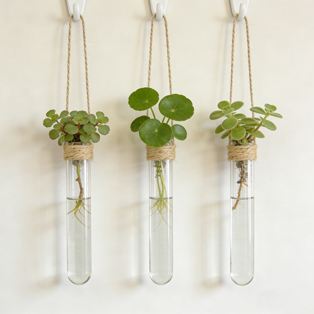 Propagation Station Vase - Hydroponic Flower Vase Wall-Mounted Test-Tube Vase