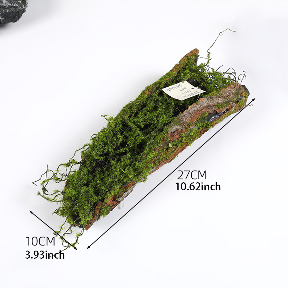 1 Imitation Bark Moss Planting - đánh giá và giá Sphagnum Moss Dry