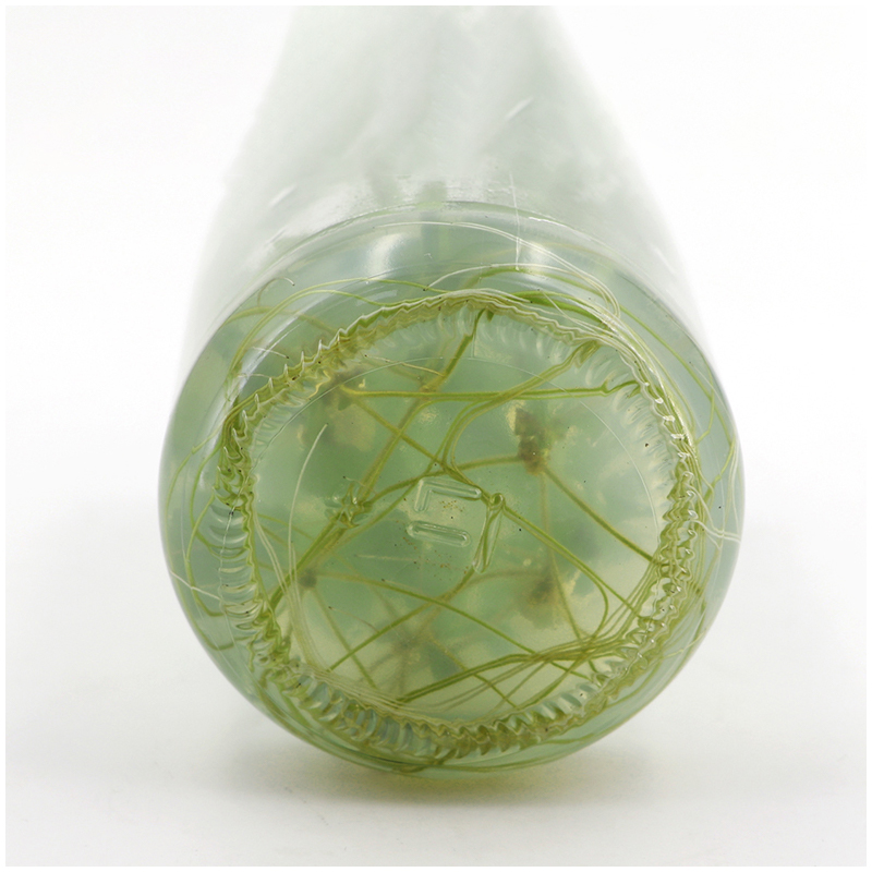 MS Medium Without Agar Or Sucr - đánh giá và giá Agar Tissue Culture