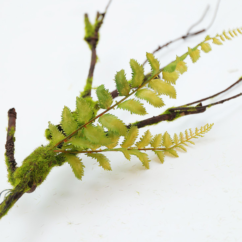 Artificial Plants Ivy Fake Mos - đánh giá và giá Sphagnum Moss Dry