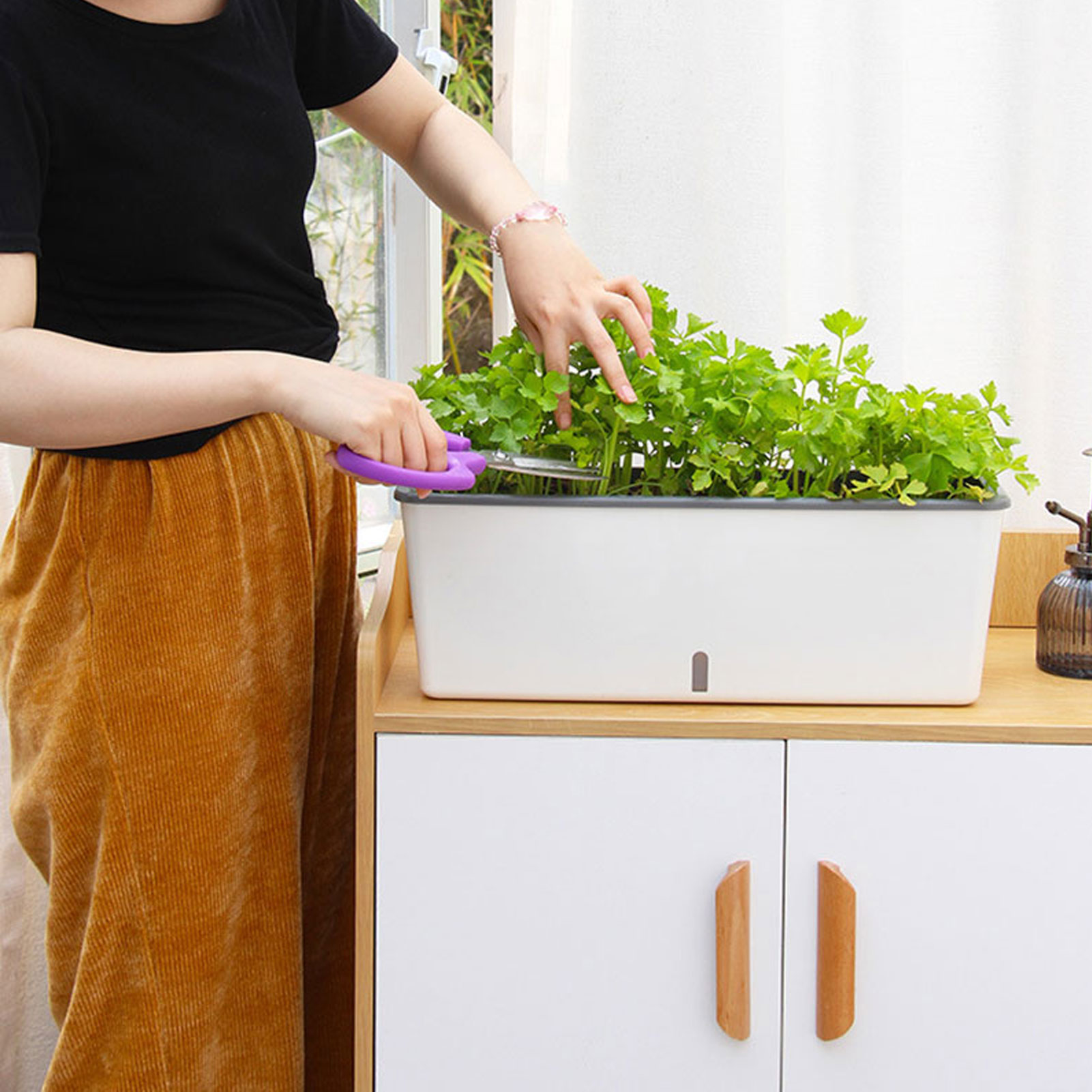 Self-Watering Planter Pots wit - đánh giá và giá Self Watering Insert