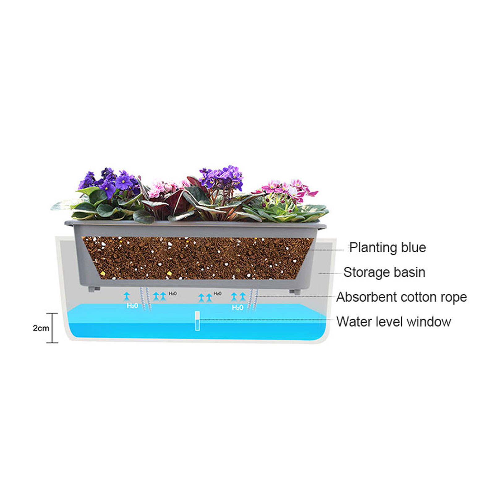 Self-Watering Planter Pots wit - đánh giá và giá Self Watering Insert