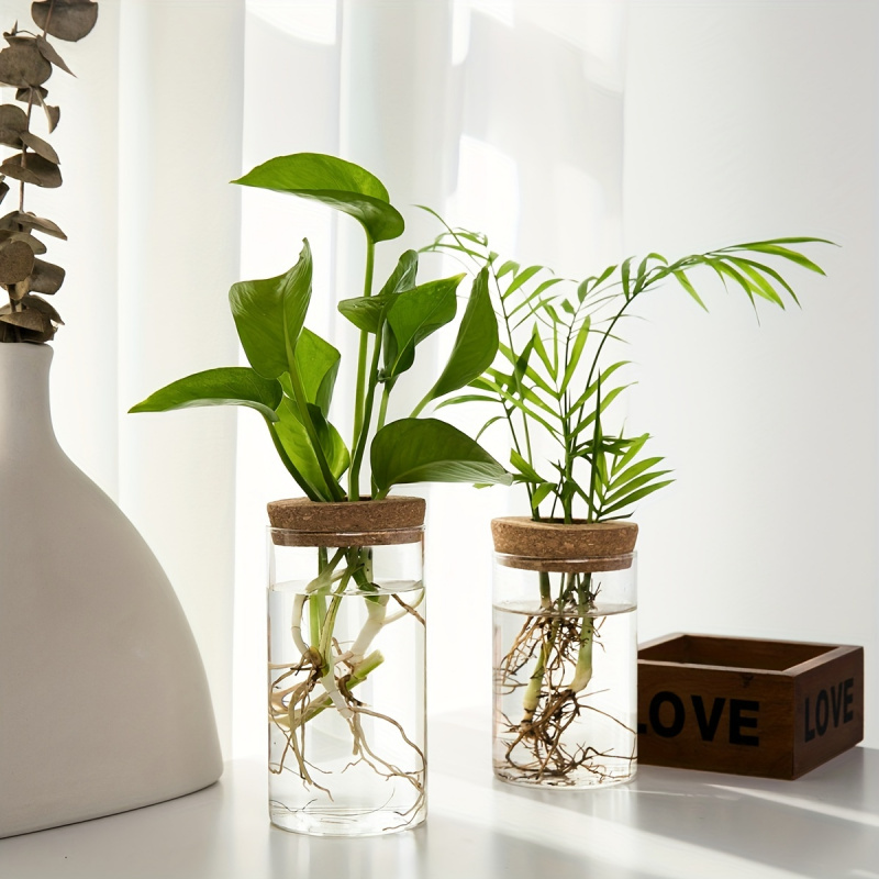1pc, Hydroponics Plants Deskto - đánh giá và giá Propagation Station Vase