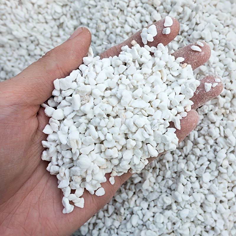 1 Bag 3-6 mm Gardening Perlite - đánh giá và giá Sphagnum Moss Dry