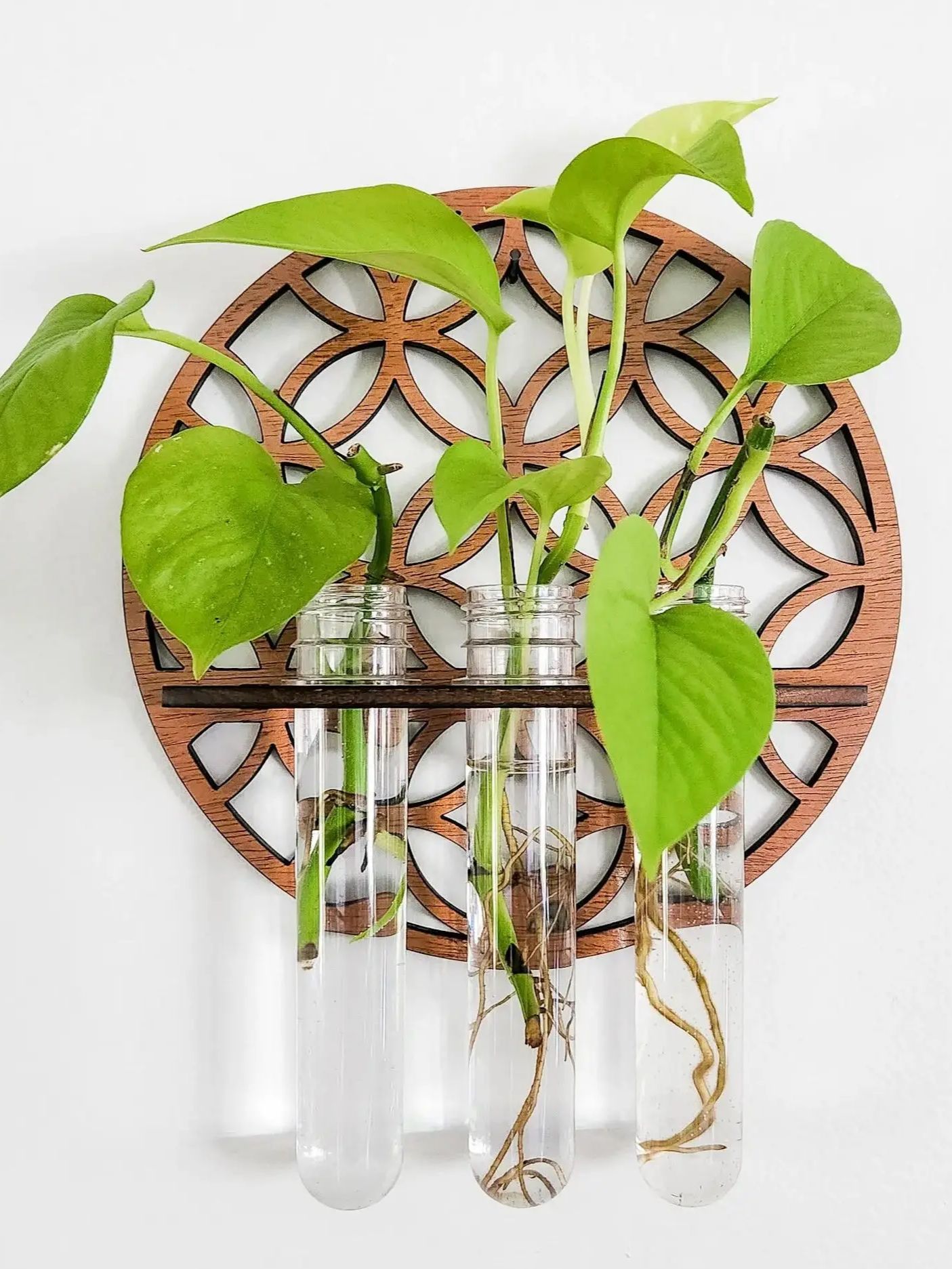 Garden Wall Planters Indoor Wo - đánh giá và giá Propagation Station Vase