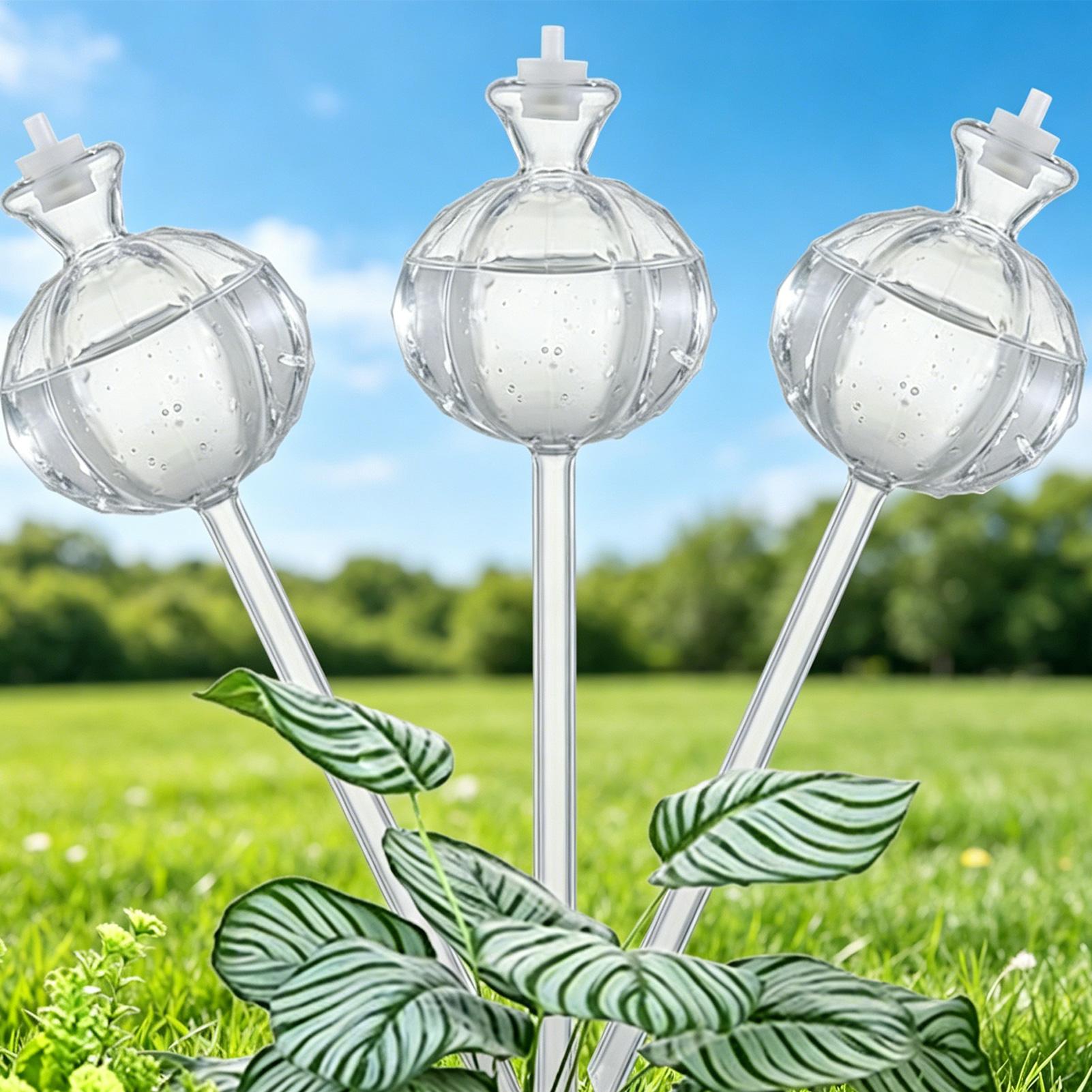 Self-Watering Globes 3 Pieces  - đánh giá và giá Self Watering Insert
