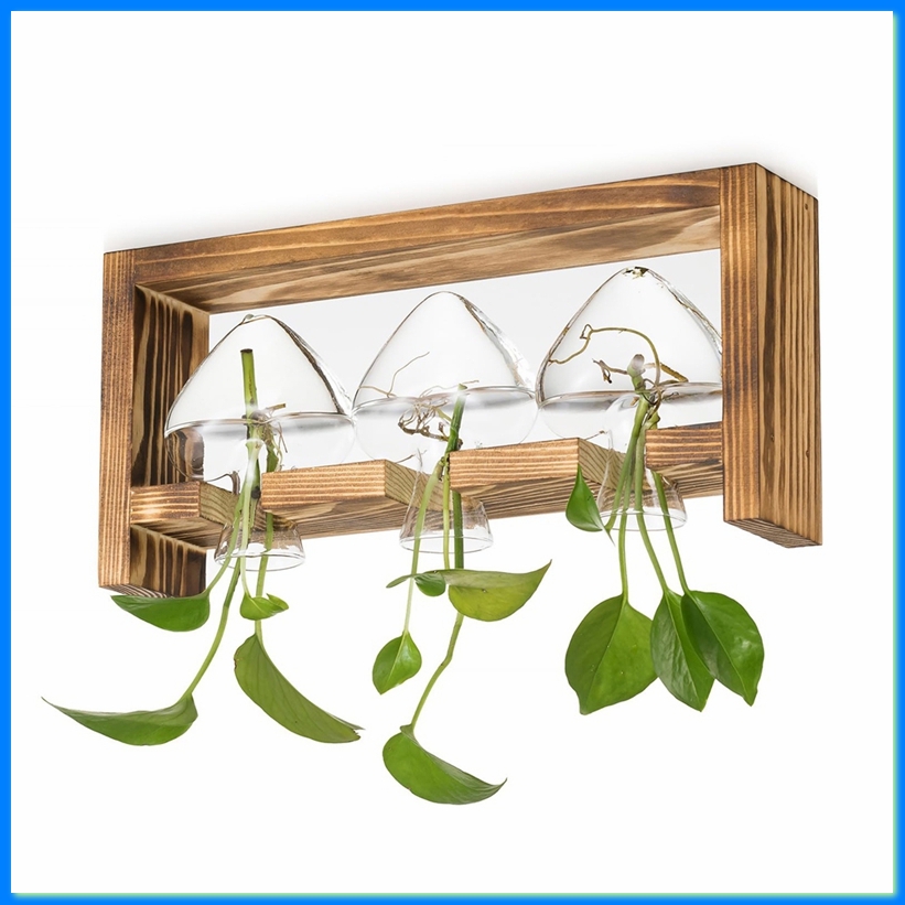Glass Propagation Station for  - đánh giá và giá Propagation Station Vase