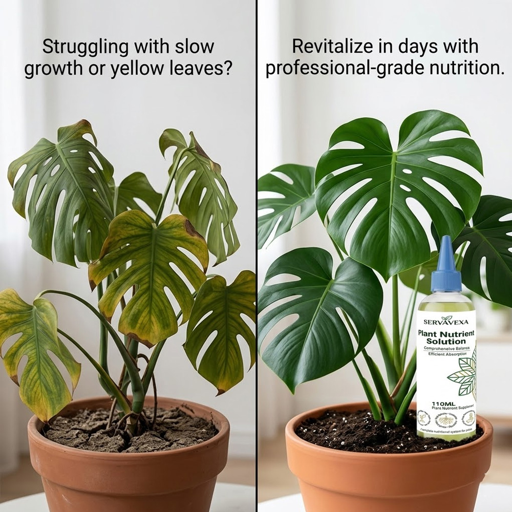 Plant  Nutrient Solution Rapid - đánh giá và giá Rooting Hormone Powder