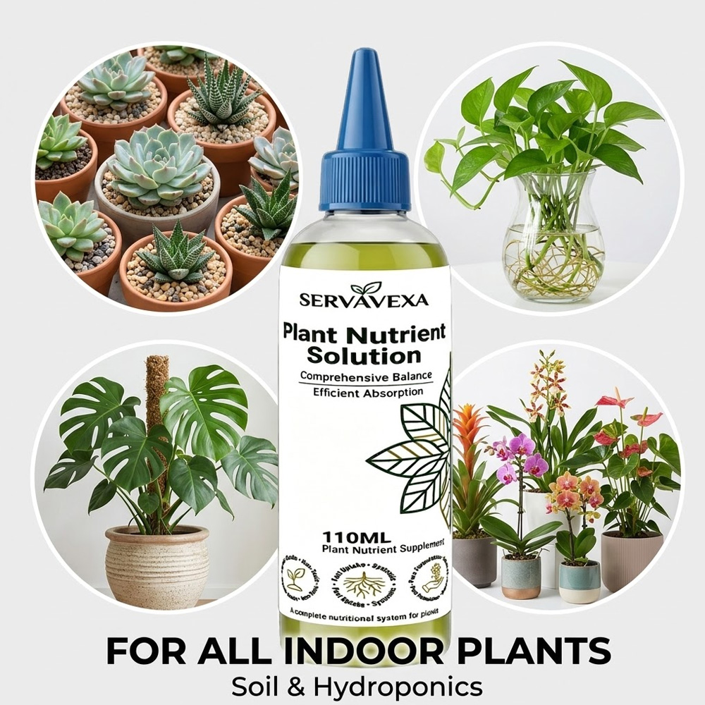 Plant  Nutrient Solution Rapid - đánh giá và giá Rooting Hormone Powder