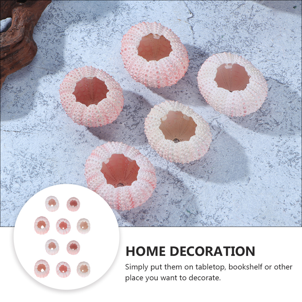 10 Chiếc DIY Trang Sức Làm Biể - đánh giá và giá Propagation Station Vase