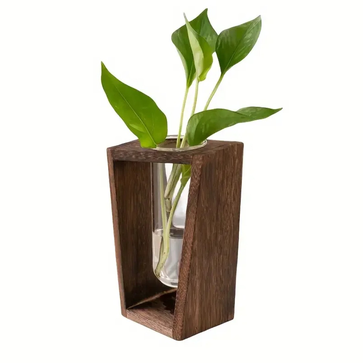 Plant Propagation Station Hydr - đánh giá và giá Propagation Station Vase