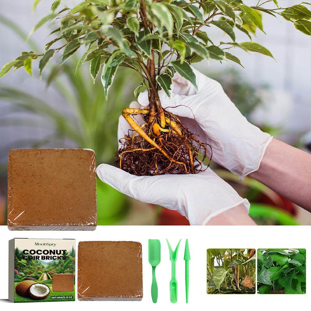 Coconut Coir Fiber Brick - Org - đánh giá và giá Sphagnum Moss Dry