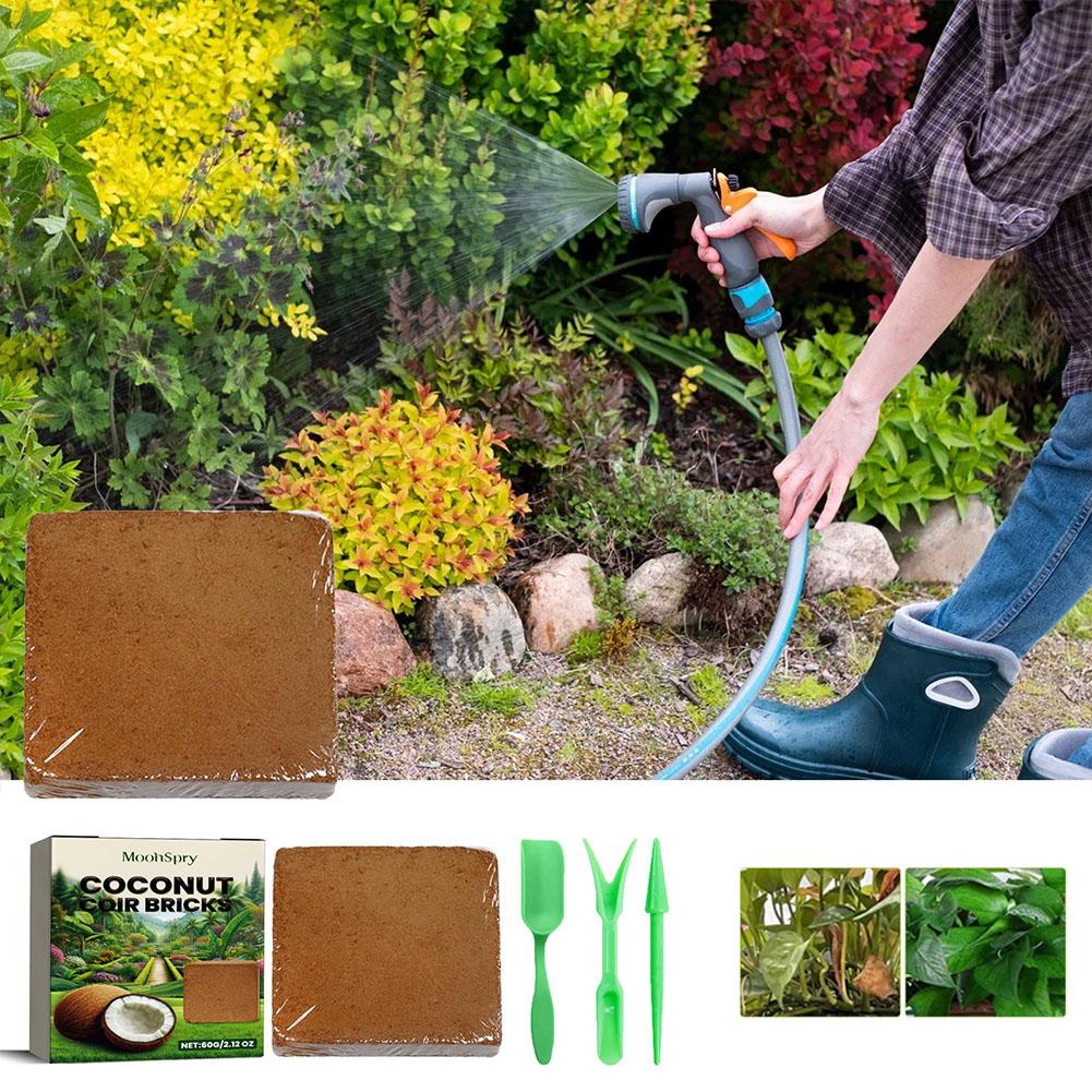 Coconut Coir Fiber Brick - Org - đánh giá và giá Sphagnum Moss Dry