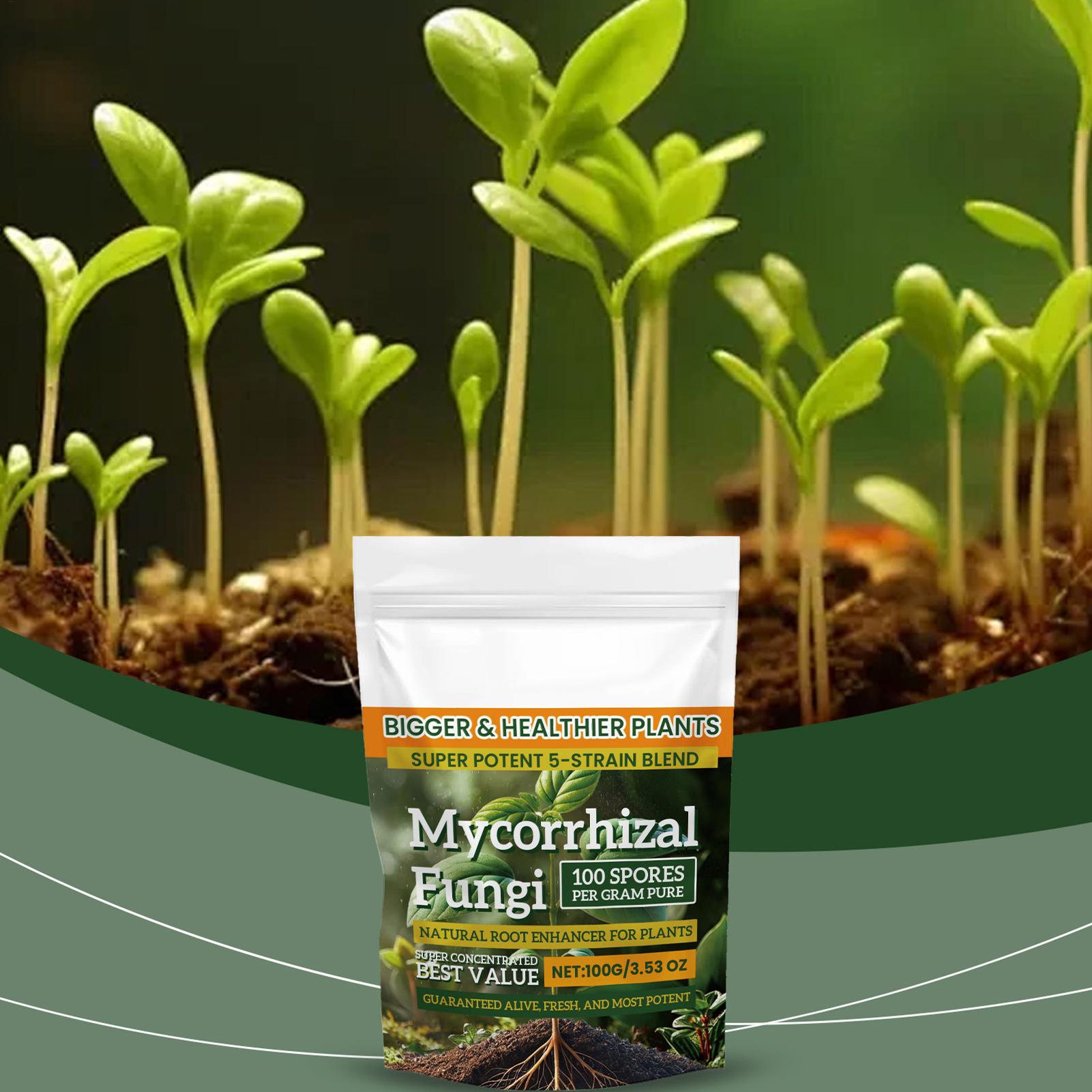 100g Plant Nutrient Powder Pla - đánh giá và giá Rooting Hormone Powder