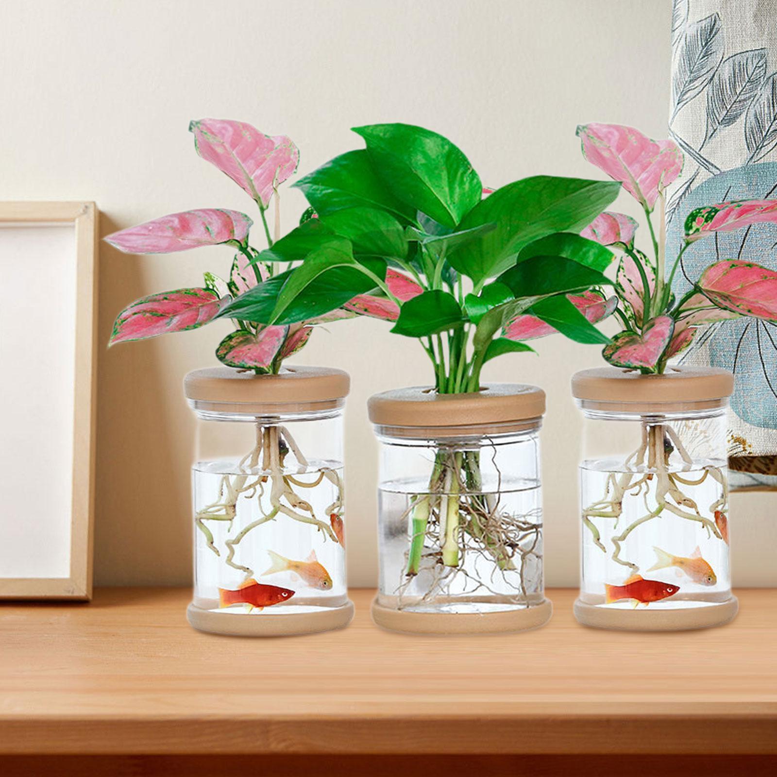 3Pcs Hydroponics Flower Vases  - đánh giá và giá Propagation Station Vase