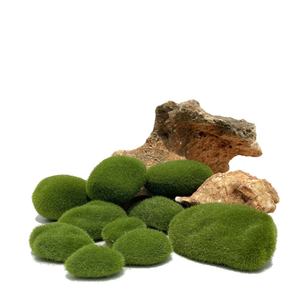 Artificial Fake Moss Rock Eter - đánh giá và giá Sphagnum Moss Dry