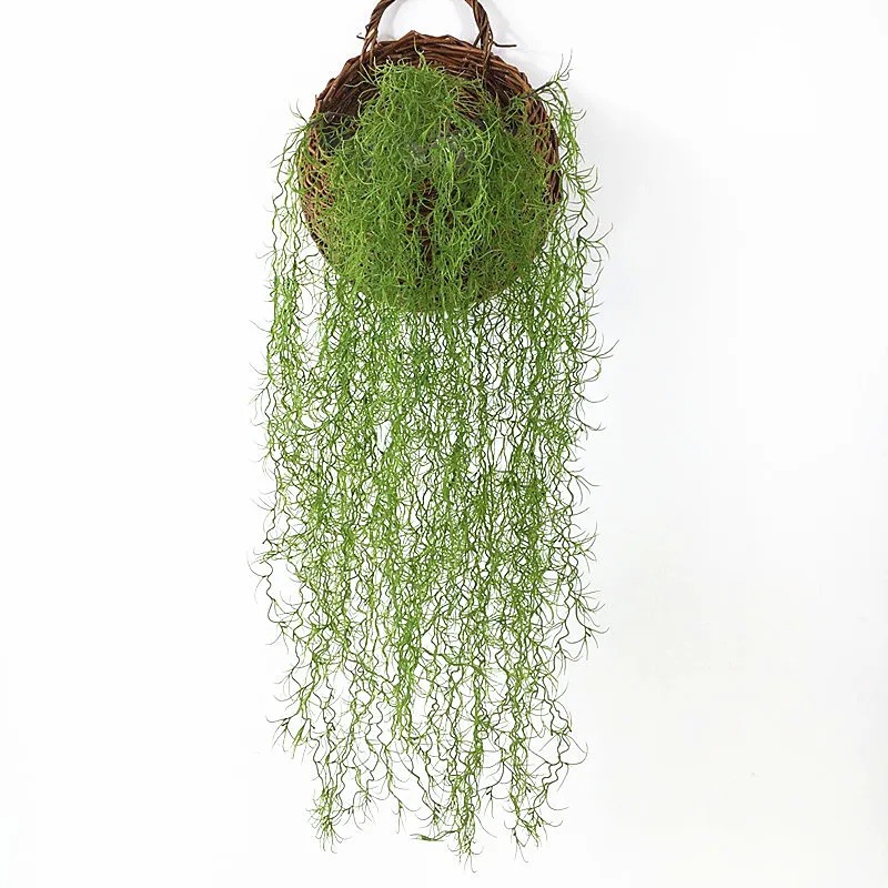 1/3/5pcs Air Grass Green Plant - đánh giá và giá Sphagnum Moss Dry