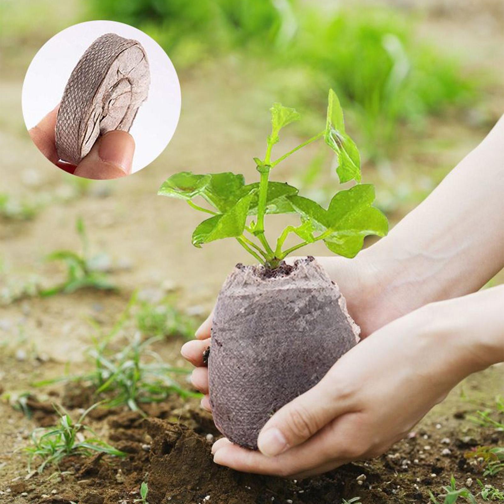 100 Piece Potting Mix Trays 30 - đánh giá và giá Peat Pellet Tray