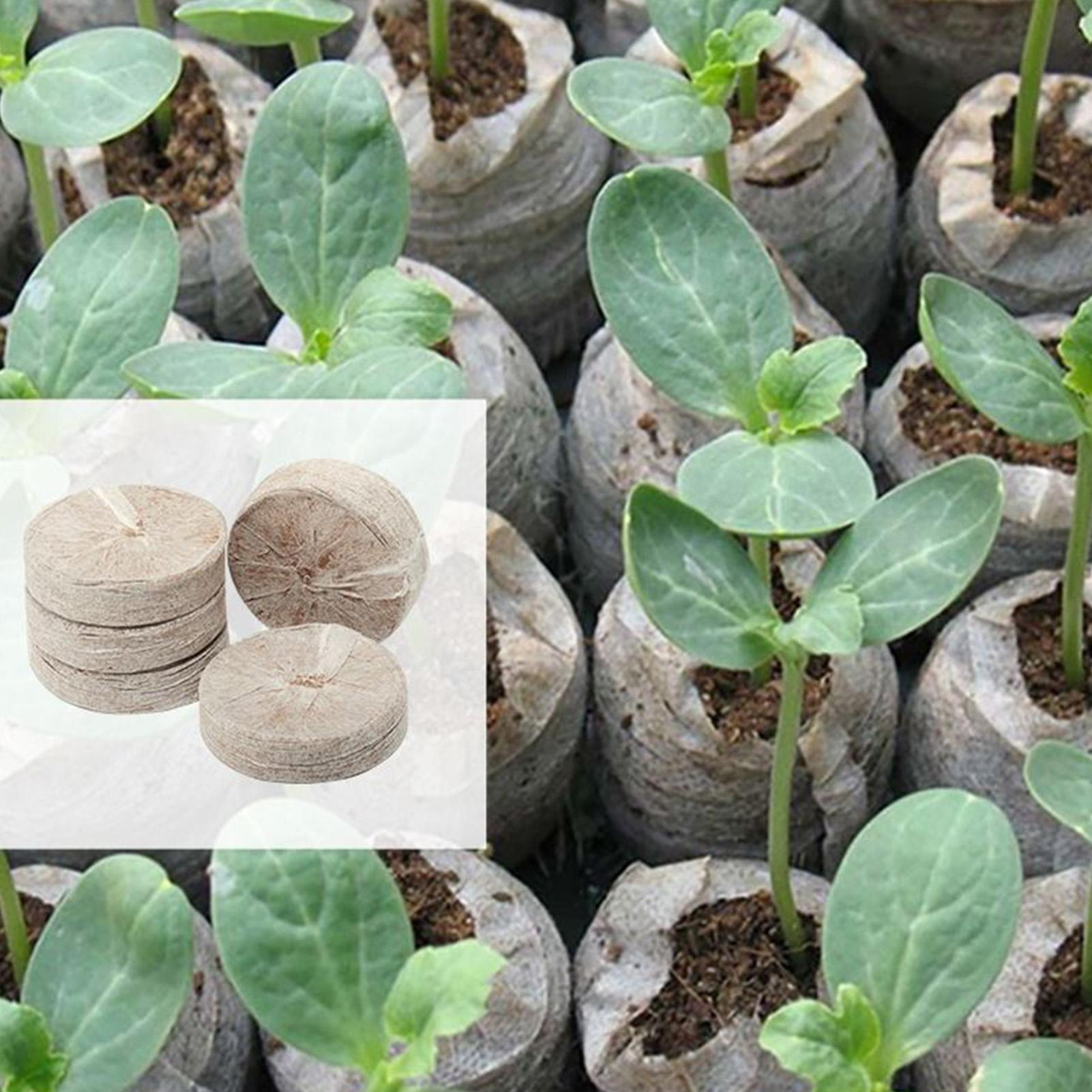 100 Piece Potting Mix Trays 30 - đánh giá và giá Peat Pellet Tray