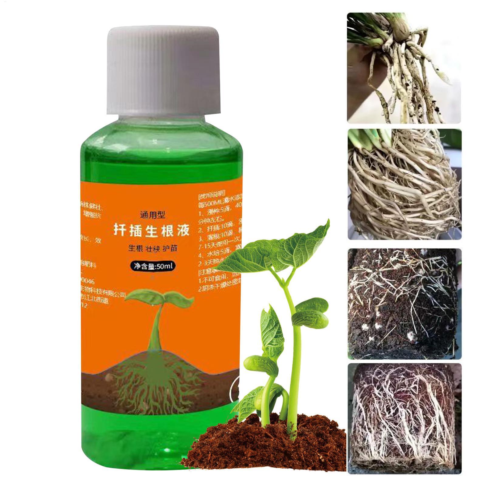 50ml Transplanting Nutrient So - đánh giá và giá Root Stimulator Liquid