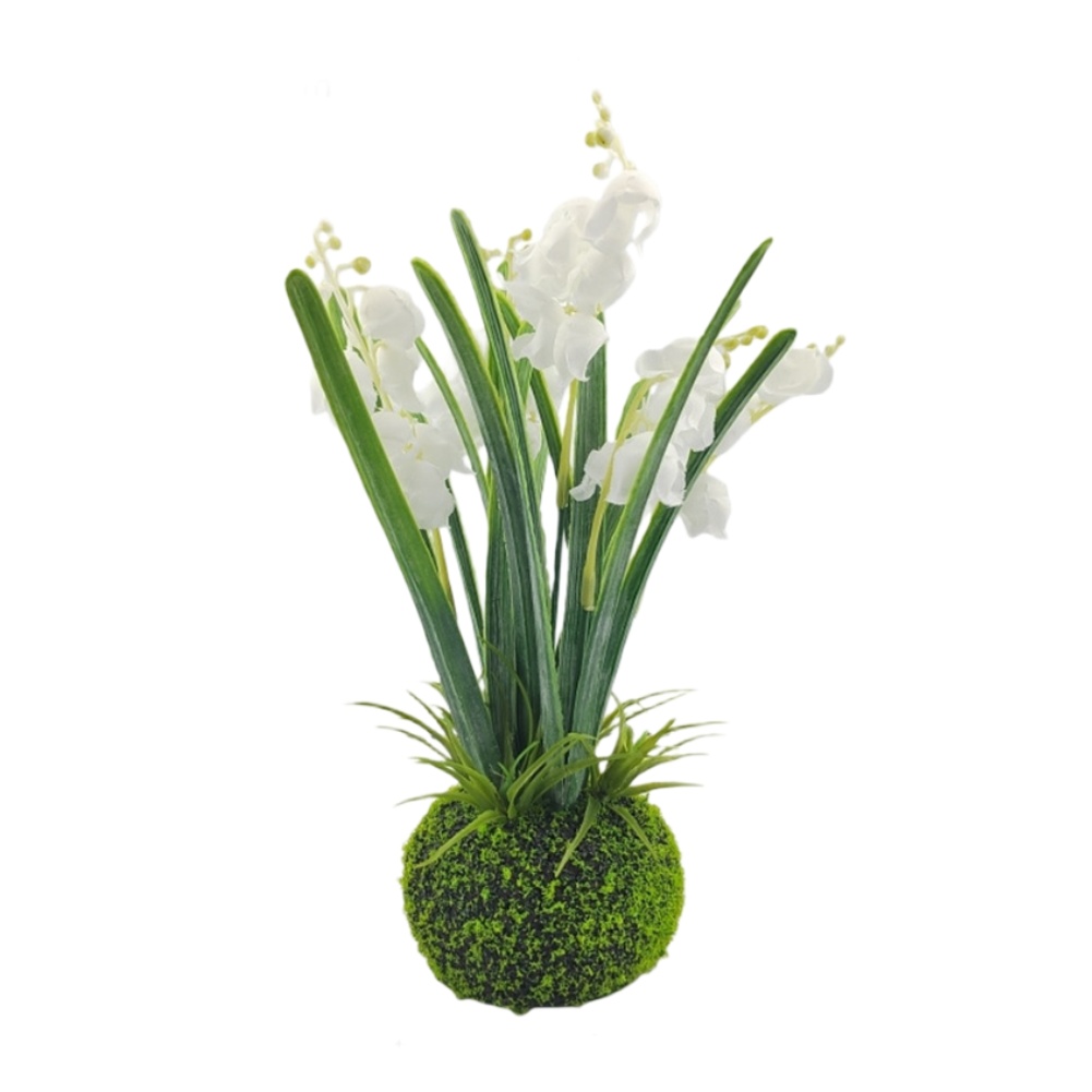 Compact Handcrafted Moss Ball  - đánh giá và giá Sphagnum Moss Dry