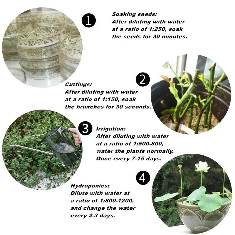 10g Quickly Rooting Powder Hor - đánh giá và giá Rooting Hormone Powder