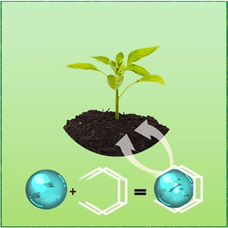 500g High-strength Rooting Hor - đánh giá và giá Rooting Hormone Powder