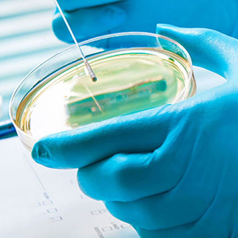 10Pcs Plastic Petri Dishes Tra - đánh giá và giá Agar Tissue Culture