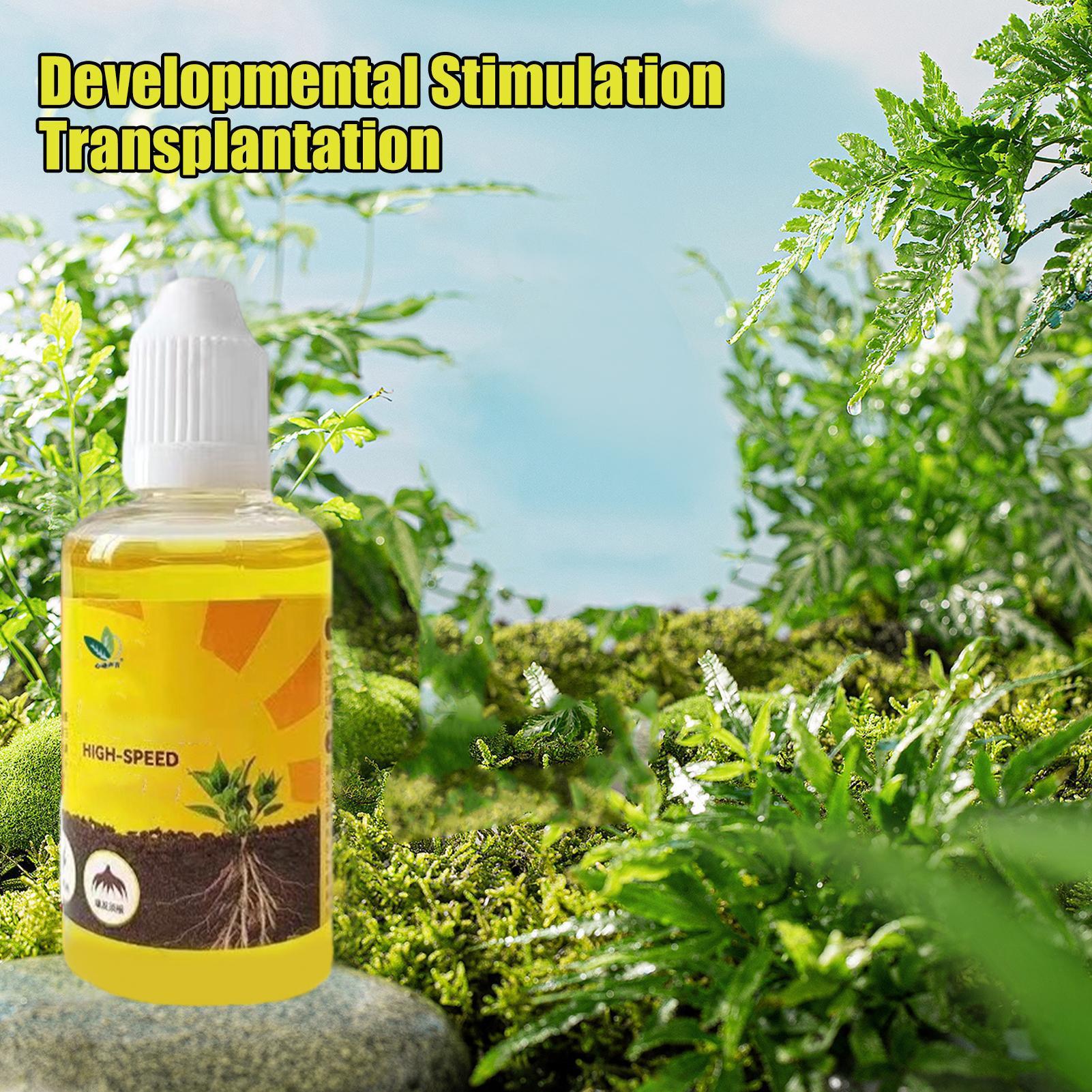 Fast Potting Rooting Plant Nut - đánh giá và giá Root Stimulator Liquid