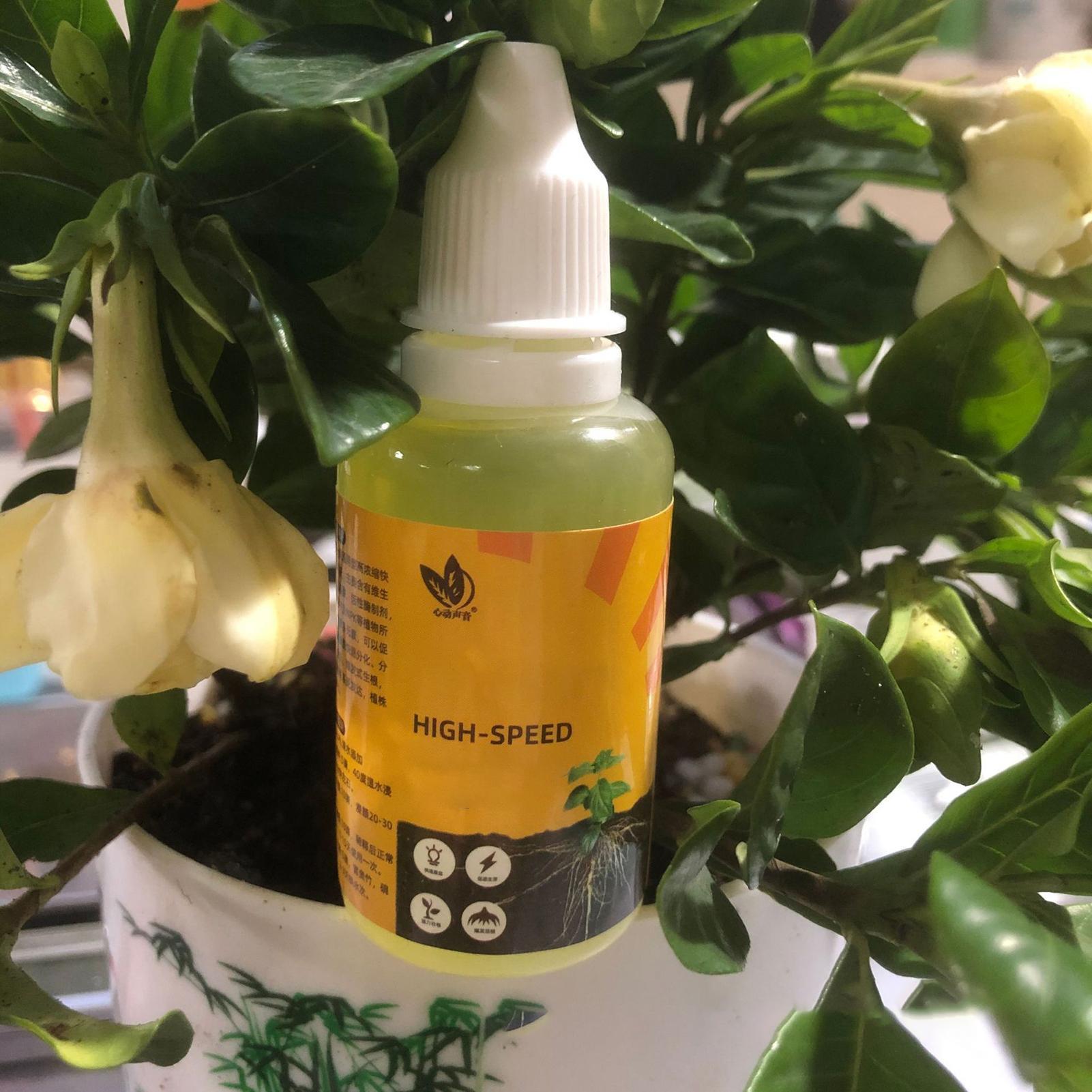 Fast Potting Rooting Plant Nut - đánh giá và giá Root Stimulator Liquid