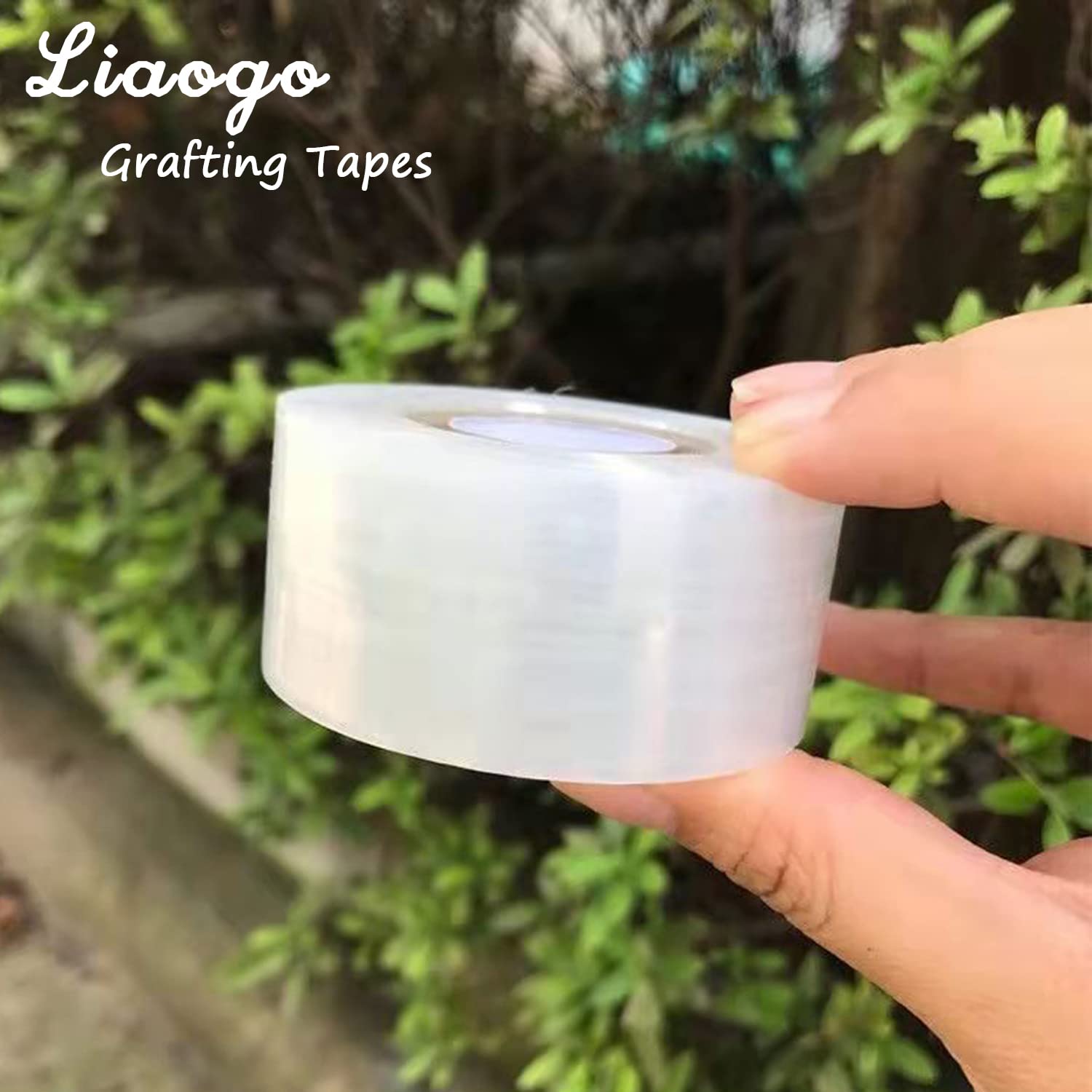 Eco-Friendly Biodegradable Gra - đánh giá và giá Rooting Hormone Powder
