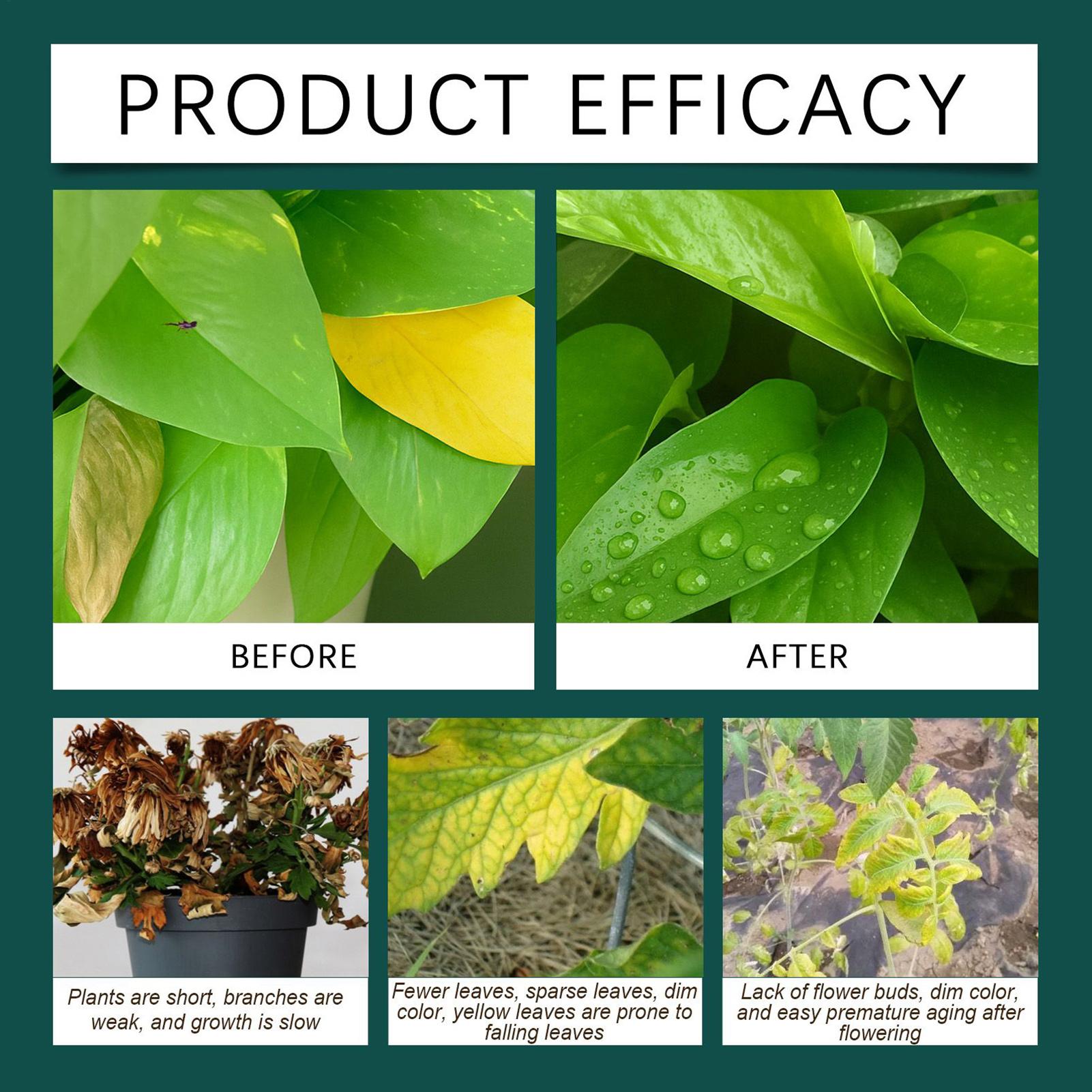 100ml Plant Rooting Liquid Dro - đánh giá và giá Root Stimulator Liquid